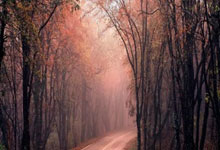 开云体育下载-全运会｜田径综合：百米大战迎新王 “小孩姐”破亚洲青年纪录