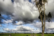 开云app-全运会｜田径综合：多名“00后”风雨中摘首金