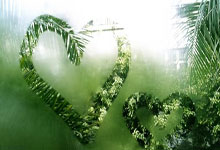 开云平台-全运会｜马术比赛收官 广西骑手再夺金